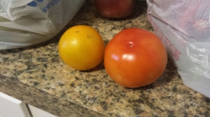 Bush Early Girl and Sunny Goliath - Cross Breeding Tomatoes
